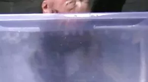 شاندار اسکول ڈک لینے کے ساتھ مل کر