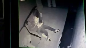ملائی ایشیائی گدا دہنا
