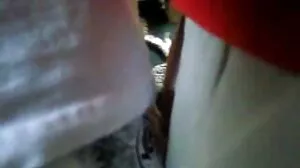 شرارتی ٹوگا پارٹی